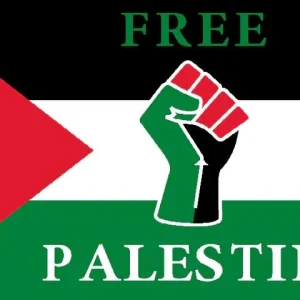 Free Palestine flagga  150*90 cm